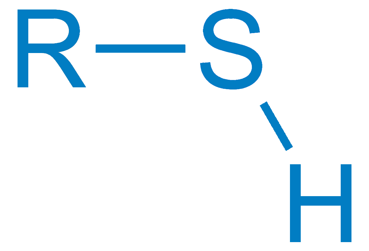 Метилмеркаптан. Меркаптан формула. Меркаптан. Меркаптаны гиф. Тиогруппа.